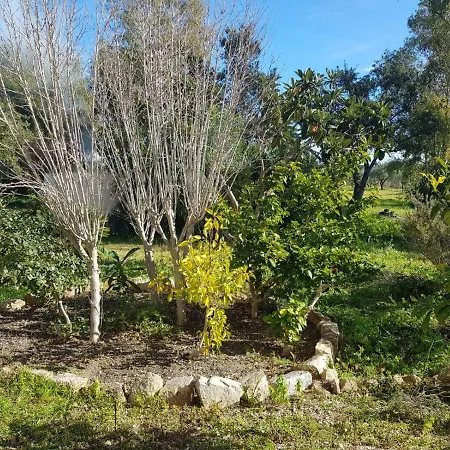 Holiday home Mimosa Bilocale