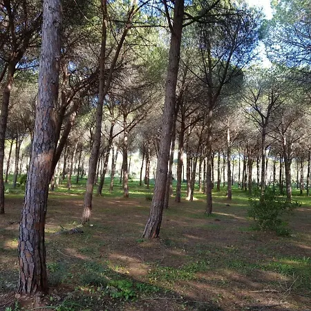 Holiday home Mimosa Bilocale *