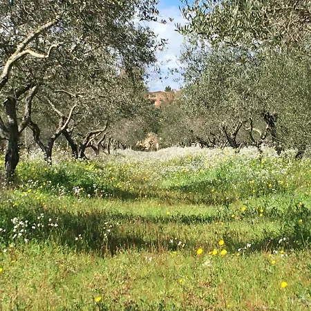 בית נופש Mimosa Bilocale *