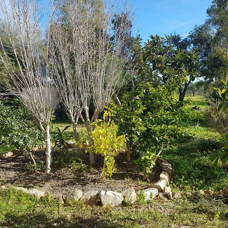 Holiday home Mimosa Bilocale