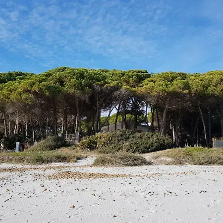 Mimosa Bilocale *