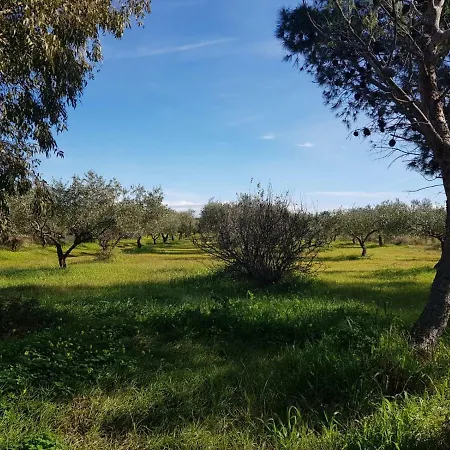 Mimosa Bilocale Holiday home Cala Liberotto