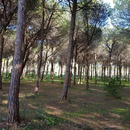 Holiday home Mimosa Bilocale *