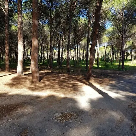 Mimosa Bilocale * Cala Liberotto