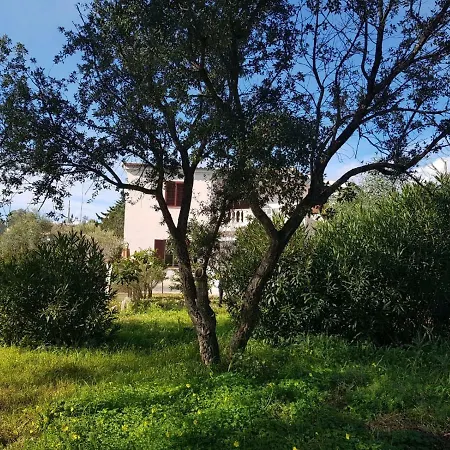بيت للعطل Mimosa Bilocale *