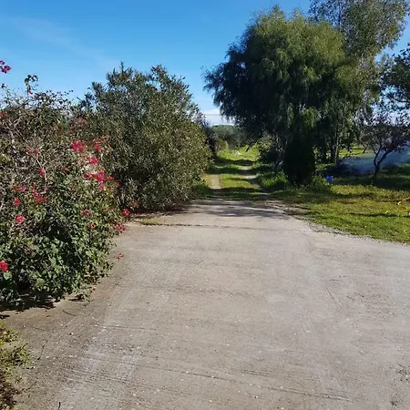 Mimosa Bilocale Holiday home