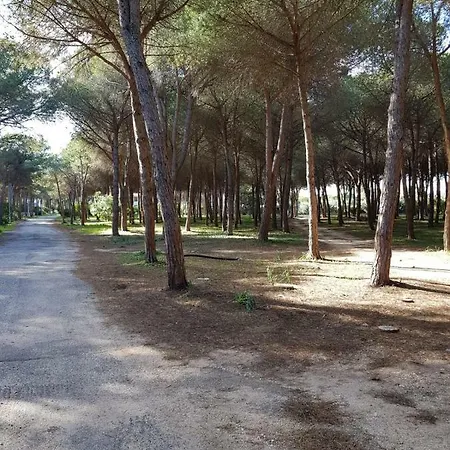 Mimosa Bilocale * Cala Liberotto