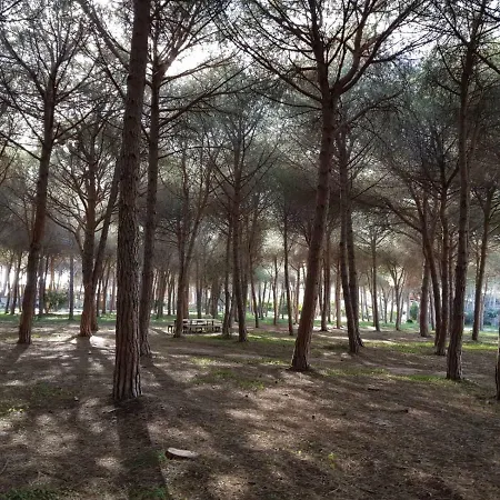 Mimosa Bilocale * Cala Liberotto